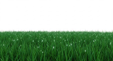 Fototapeta premium Fresh vibrant green grass captured under bright even studio light isolated on a crisp white background. AI Generated