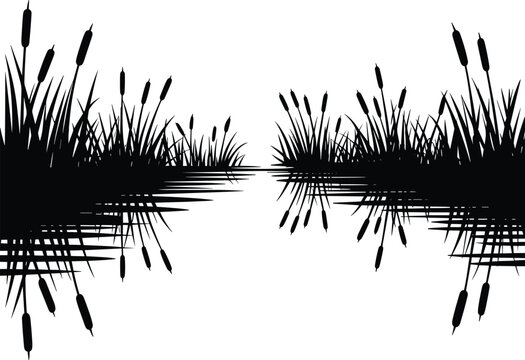 WebSymmetrical cattail silhouettes vector illustration with tall grass, water reflection, decorative nature design, botanical artwork, marsh scene, tranquil pond landscape