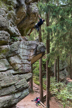 Forest of rocks.