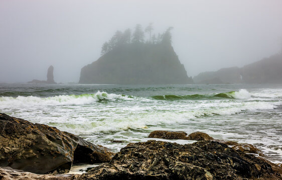 Fog partially obscures sea stacks at Second Beach in Washington State