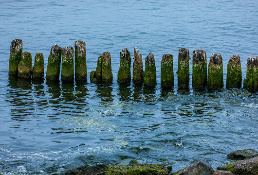 Wooden piers from a long abandoned dock in the ocean