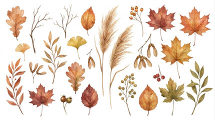 Fototapeta premium Beautiful collection of autumn leaves and foliage with delicate branches, perfect for seasonal designs