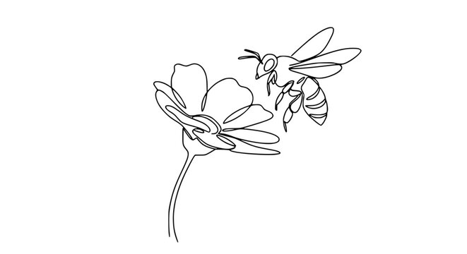 Minimalist single line drawing of a bee pollinating a flower against a white background.