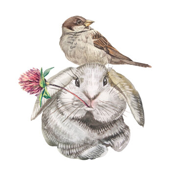 Watercolor bird sparrow and bunny with clover isolated on white background. Spring summer nature clipart with rabbit for celebration Saint Patrick or 8 March. Flower and animal hare for wallpaper