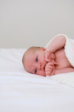 newborn baby portraits on bed
