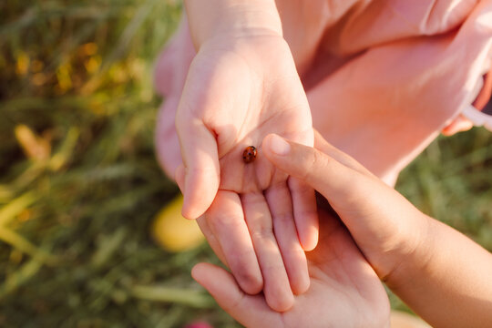 A ladybug is sitting on a little girl's palm