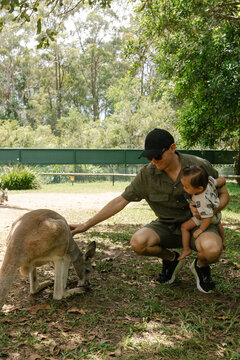 Father and son hanging out with kangaroo at Australia zoo