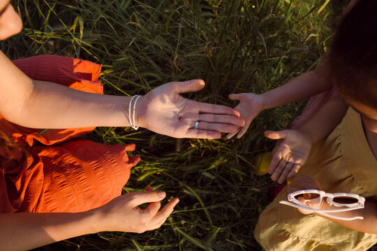 A ladybug is sitting on a young woman's palm