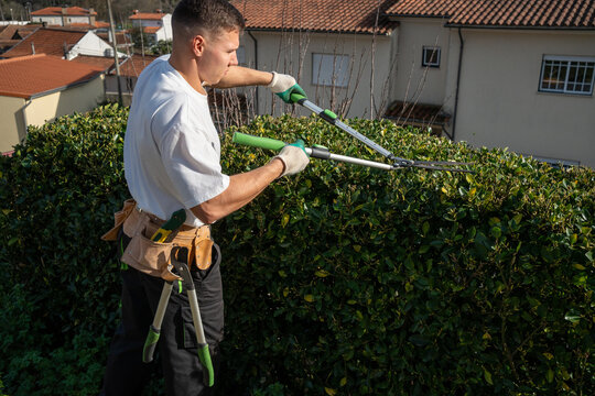 Man Trims Bushes in a Residential Area on a Sunny Day in Spring