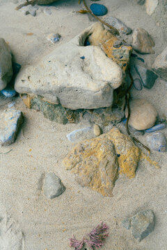 Colorful Stones and Algae along Cove in Malibu 