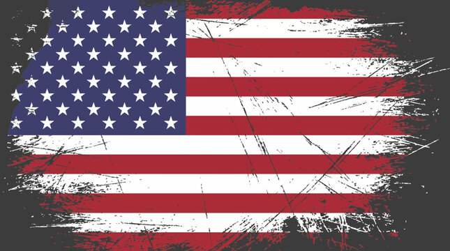 American Flag Grunge Texture Overlay Vector