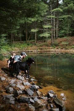family with dog taking a hiking break by a pond in the woods