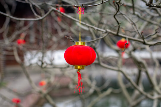 Chinese lantern ornament 3