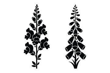 Set of black silhouette floral illustrations featuring snapdragon and foxglove © Sadek