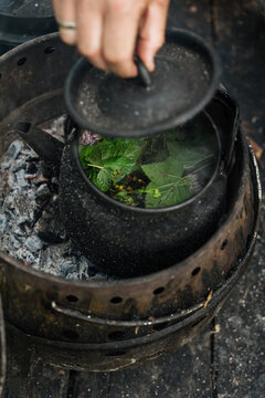 Herbal tea brewing in kettle over campfire