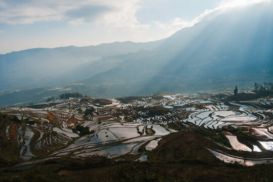 Scenic view of rice terraces reflecting sky in Yunnan, China 