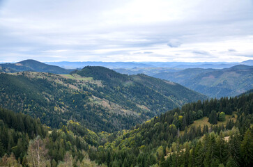 Fototapeta premium Expansive mountain valley framed by dense evergreen forests and rolling hills under a moody cloudy sky. Carpathian Mountains, Ukraine