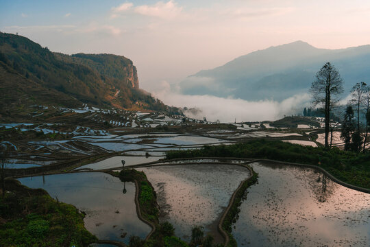 Scenic view of rice terraces reflecting sky in Yunnan, China 