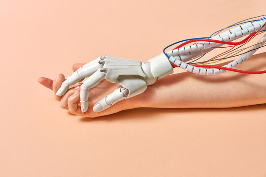 Robot hand holds human hand on peach background