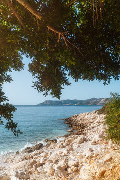  Rocky coastline with sea view through trees