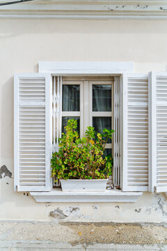 White window with shutters and potted green plant