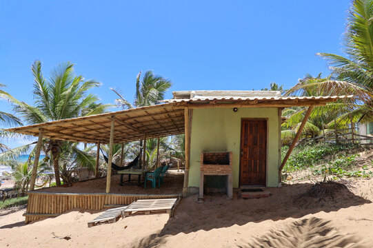 Beach House by the Shore With Palm Trees and Sand