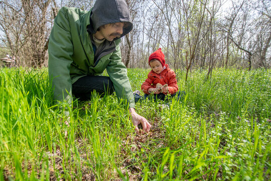 Father and child picking spring mushrooms