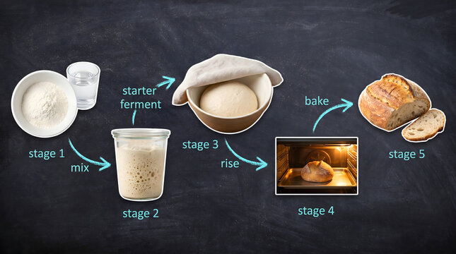 Bread making process stages infographic on chalkboard background