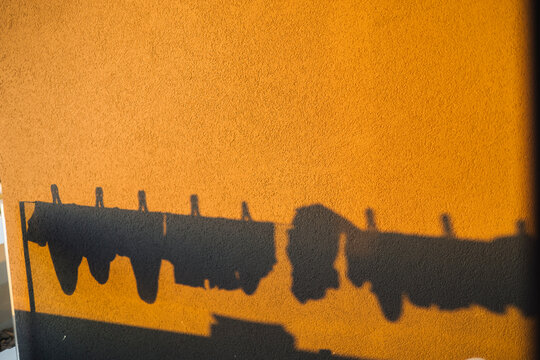 Drying laundry silhouette on orange wall
