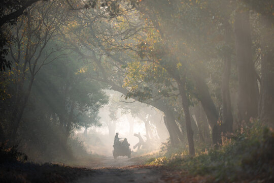 Safari vehicle driving through a misty tropical forest road 