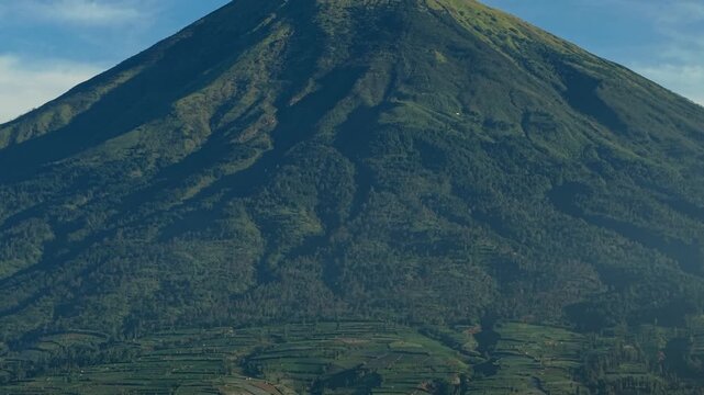Aerial view of Mount Sindoro with lush green slopes and terraced agricultural fields under a clear sky in Kecamatan Kalikajar, Jawa Tengah, Indonesia.