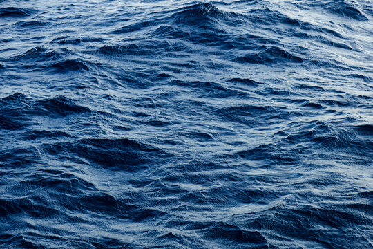 Ocean surface texture in motion
