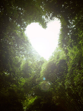Enjoying a Heart-Shaped View in a Bamboo Forest in China