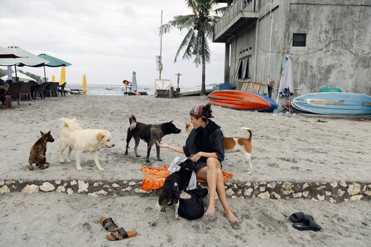UGC Woman sitting with dogs on beach in Crystal Bay, Nusa Penida
