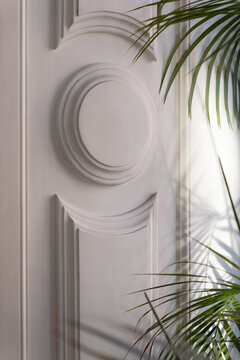 Classical Wall Relief with Palm Shadow