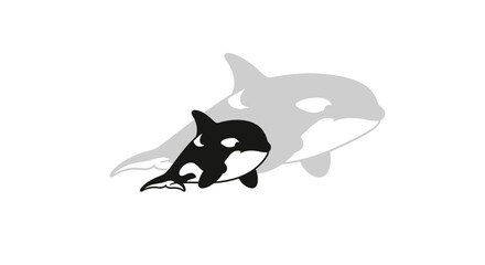 Orca whale swim ocean animal. © inakaya