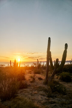 Mexico Baja Travel Background sunset
