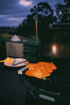 Cooking lobsters on a grill on a deck 