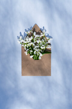 Snowdrop letter