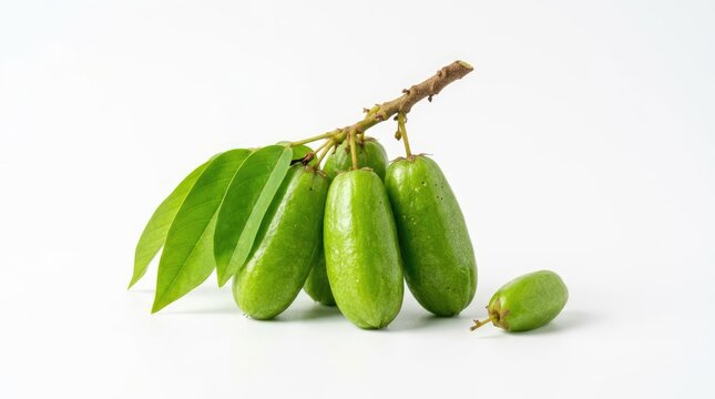 A bunch of ripe green bilimbi fruits hanging from a branch with leaves, isolated on a white background. The fruits are oval-shaped and slightly ribbed