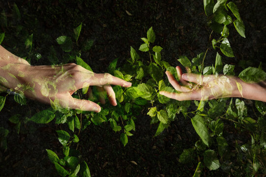Skin Nature Connection