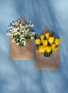 Floral letters of early spring