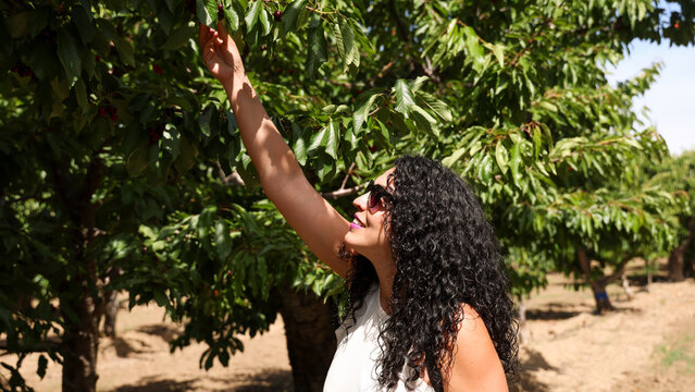 Friends Going Cherry Picking