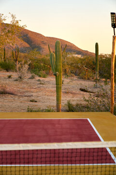Cactus Pickleball Court in the Mexico desert