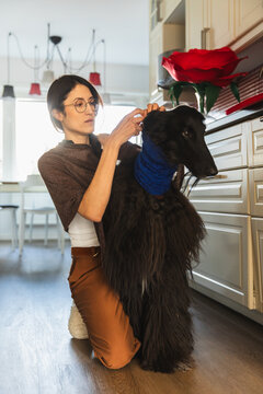Woman grooming her long-haired black Afghan Hound dog with a brush