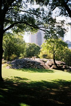 The vibrant scenery of Central Park in New York City 
