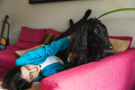Woman embracing her large black Afghan Hound dog on a pink sofa