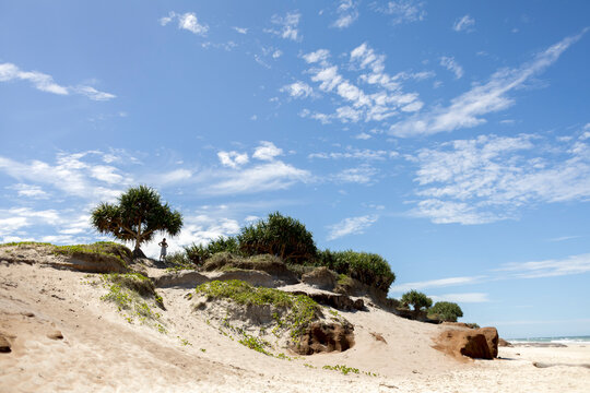 Coastal dunes and distant woman on beach in Bundjalung National Park
