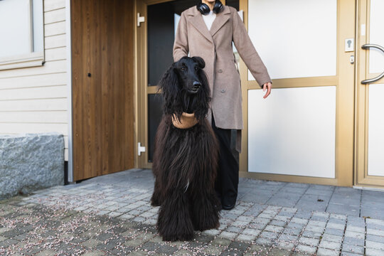 Woman opening a modern wooden door to step outside with her dog