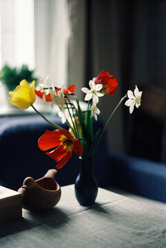 Film Photo &ndash; Tulips and Daffodils in Dark Vase on Table Indoors